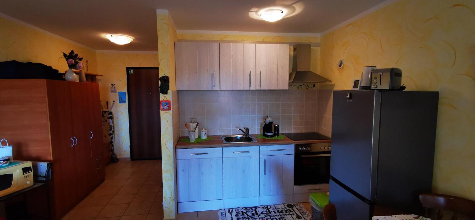 Studio Apartment Lela Ližnjan 外观 照片